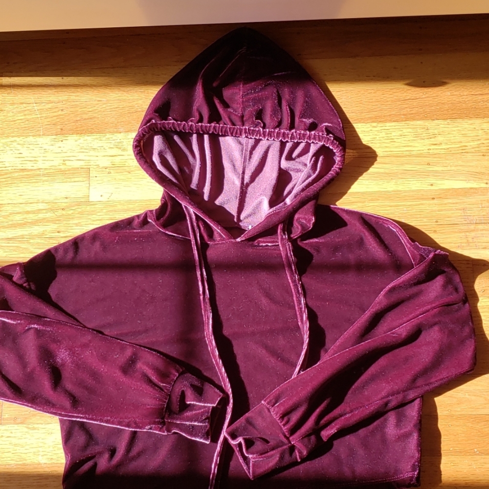 Velvet Cropped Hoodie
